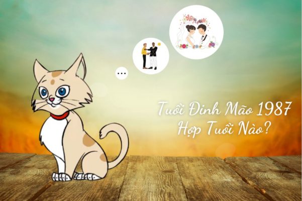 1987 mệnh gì