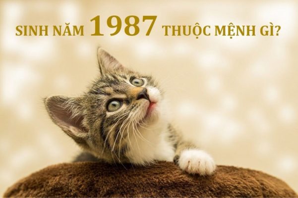 1987 mệnh gì